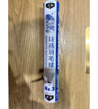 皖燕羽毛球