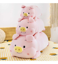 金猪 80 cm（不含税 neto）