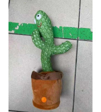 Kaktus
